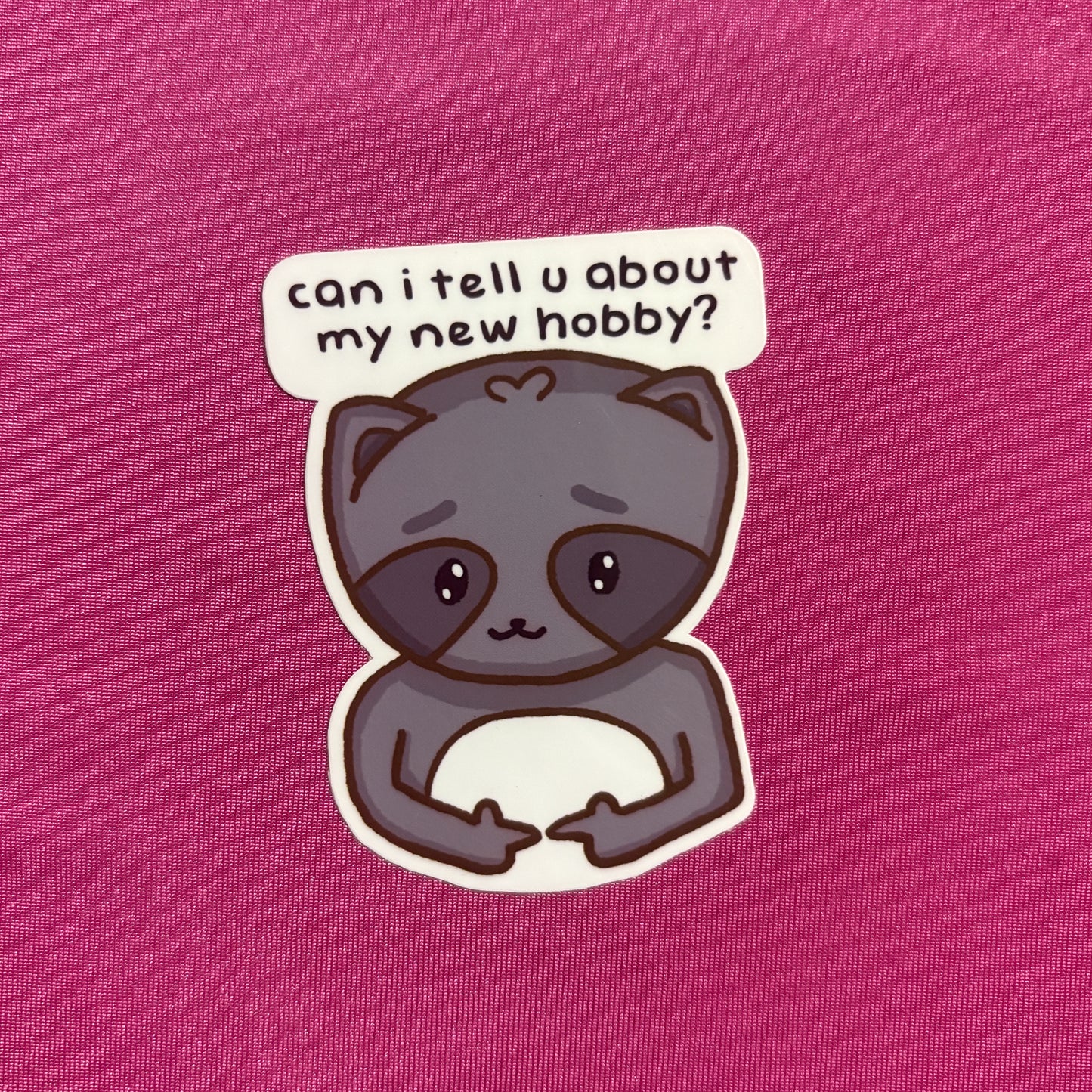 Hobby Raccoon Die Cut Sticker